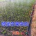 微喷带喷灌带果树农田3孔5孔7孔9孔【批发】