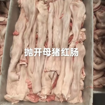母猪抛开红肠