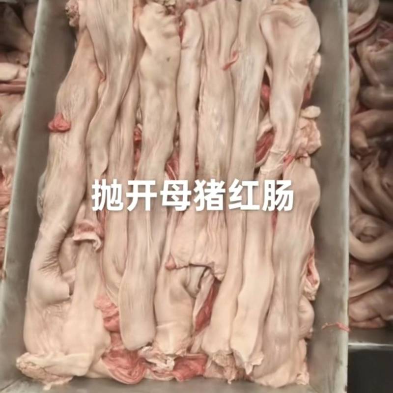 母猪抛开红肠