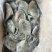 黑鲳鱼灯光围网黑鲳鱼