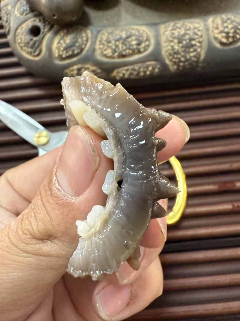 鲜食海参支持团购对接各大商超源头工厂可视频看货