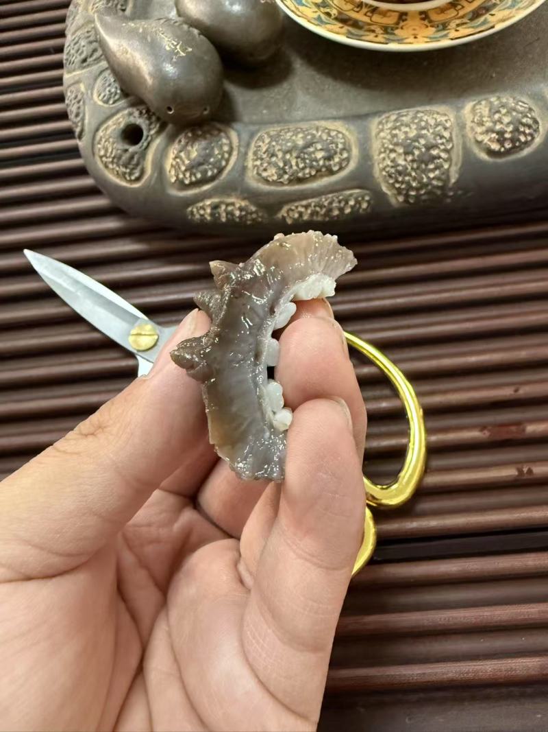 鲜食海参支持团购对接各大商超源头工厂可视频看货