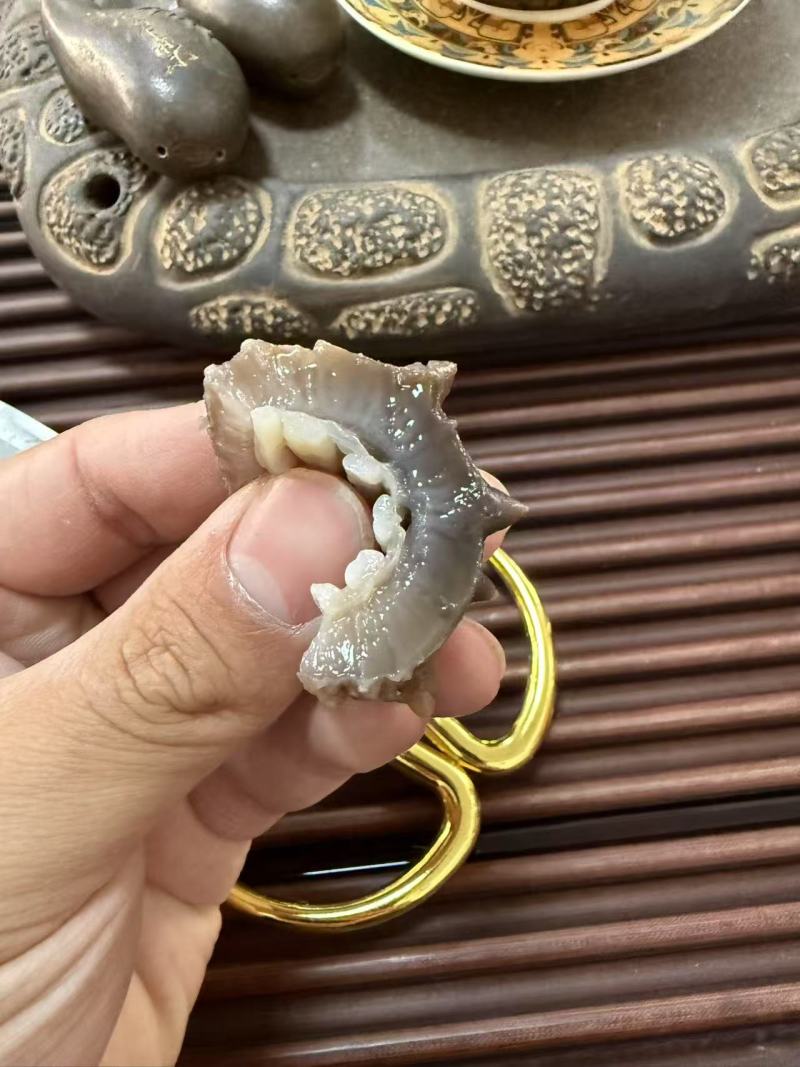 鲜食海参支持团购对接各大商超源头工厂可视频看货