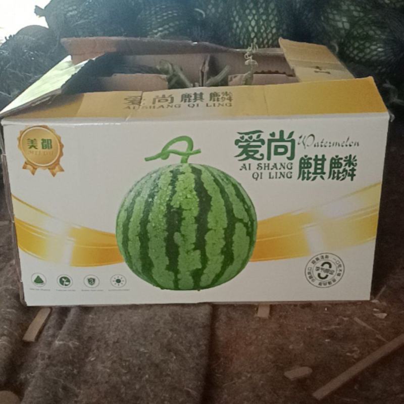 西瓜正宗应季