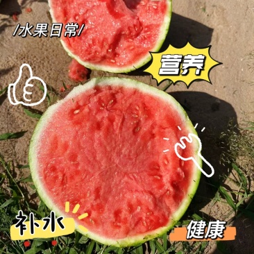 山西台农大棚美都麒麟西瓜美都西瓜一手货源欢迎来电咨询