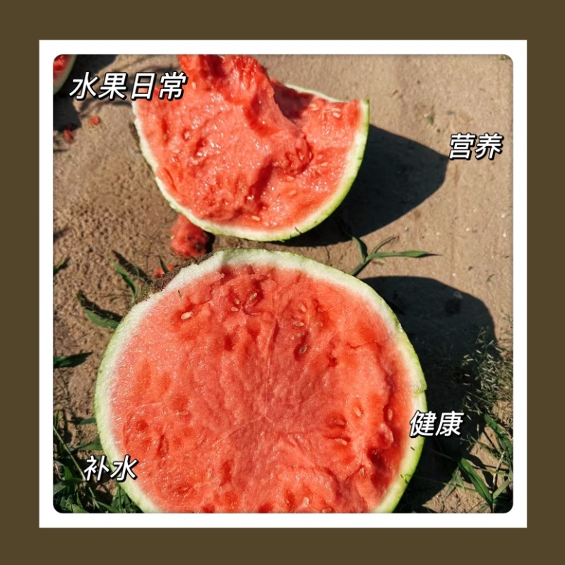 山西台农大棚美都麒麟西瓜美都西瓜一手货源欢迎来电咨询