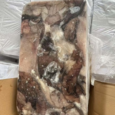 墨鱼皮2000克以上墨鱼杀出来的