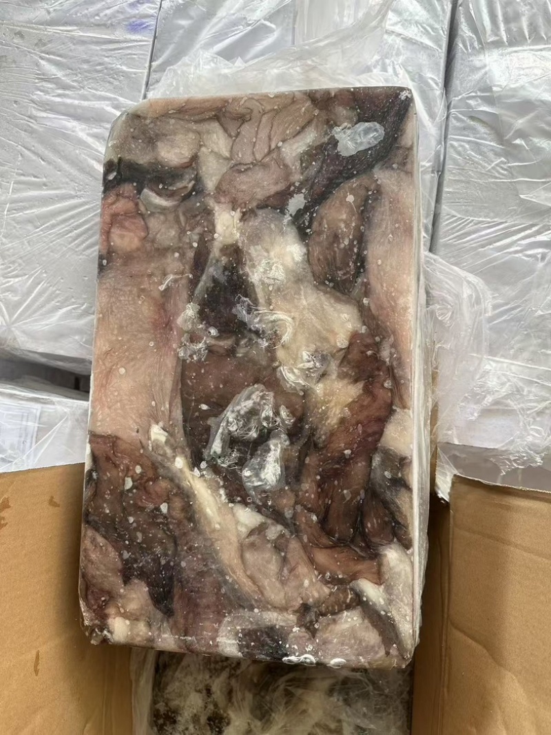 墨鱼皮2000克以上墨鱼杀出来的