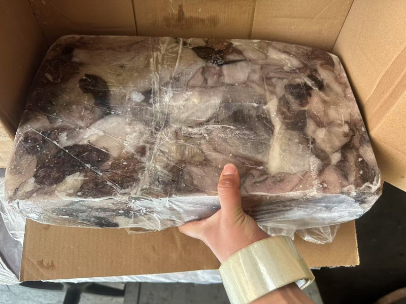 墨鱼皮2000克以上墨鱼杀出来的