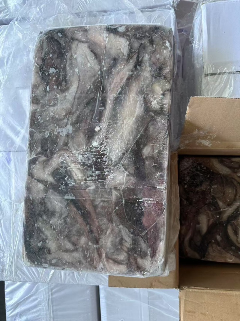 墨鱼皮2000克以上墨鱼杀出来的