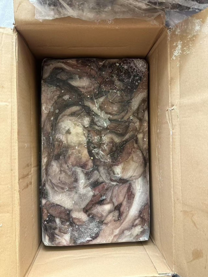 墨鱼皮2000克以上墨鱼杀出来的
