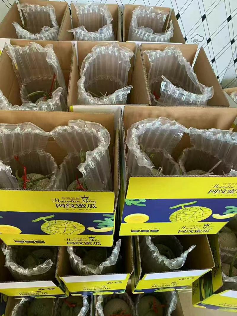 山东烟台海阳市精品网纹瓜代办电商货全国发货欢迎合作