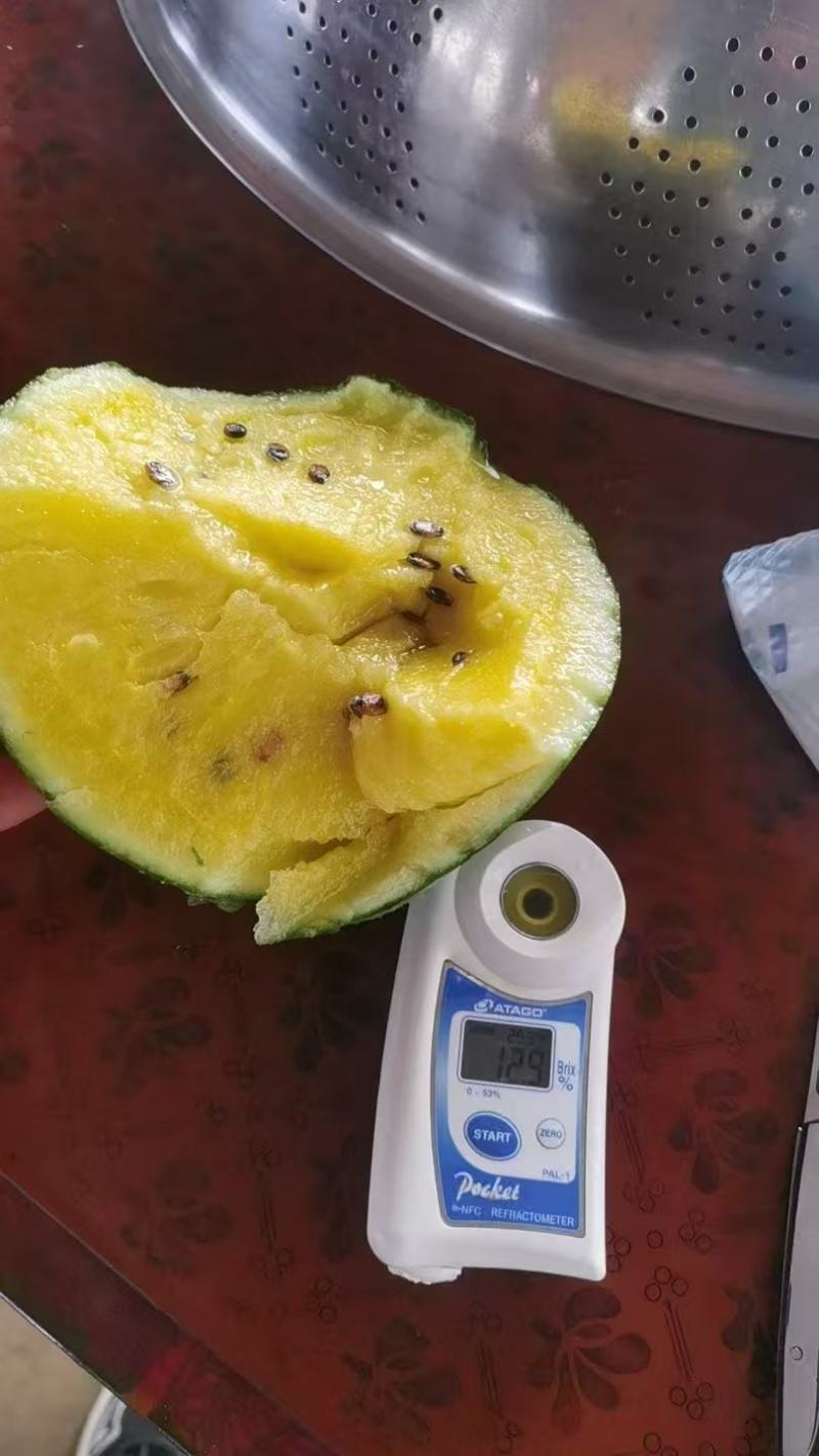 特小凤西瓜