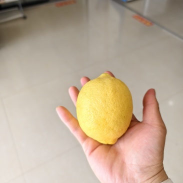 黄柠檬