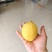 黄柠檬