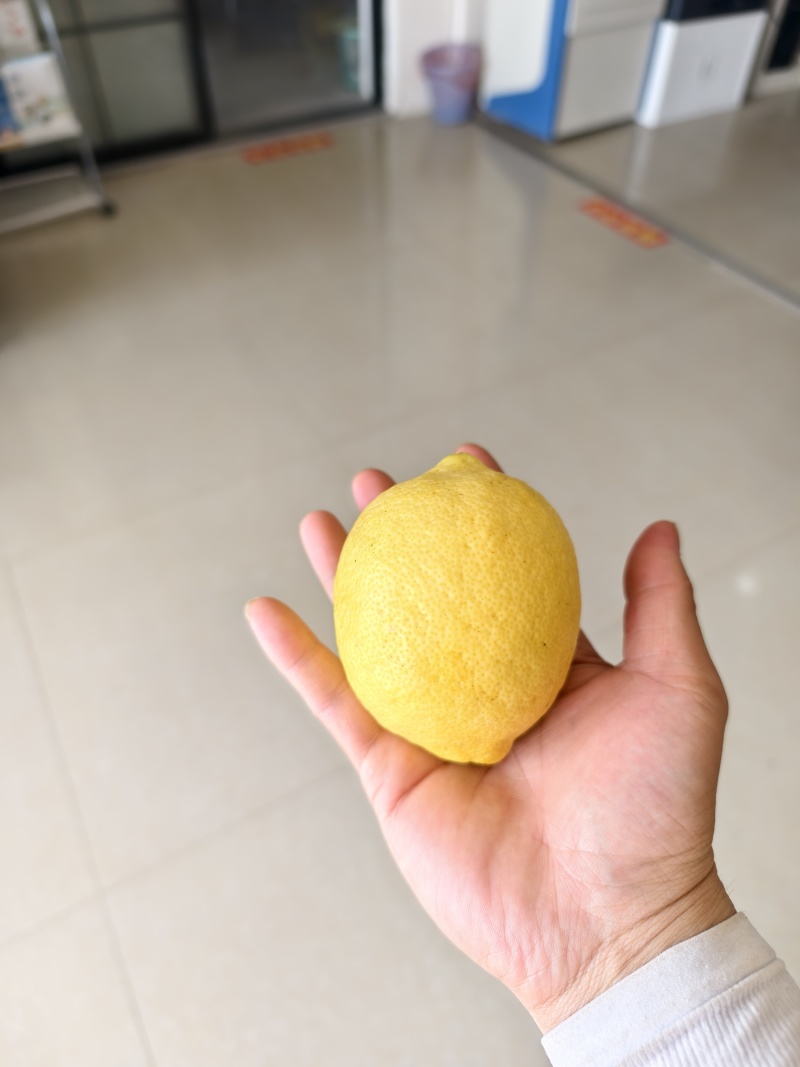 黄柠檬