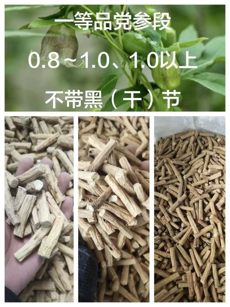 党参中节产地货源充足规格齐全保质保量欢迎电话联系