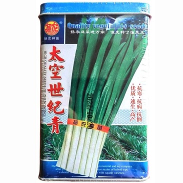 太空世纪青韭菜种子拯农韭菜不休眠抗病叶片浓绿