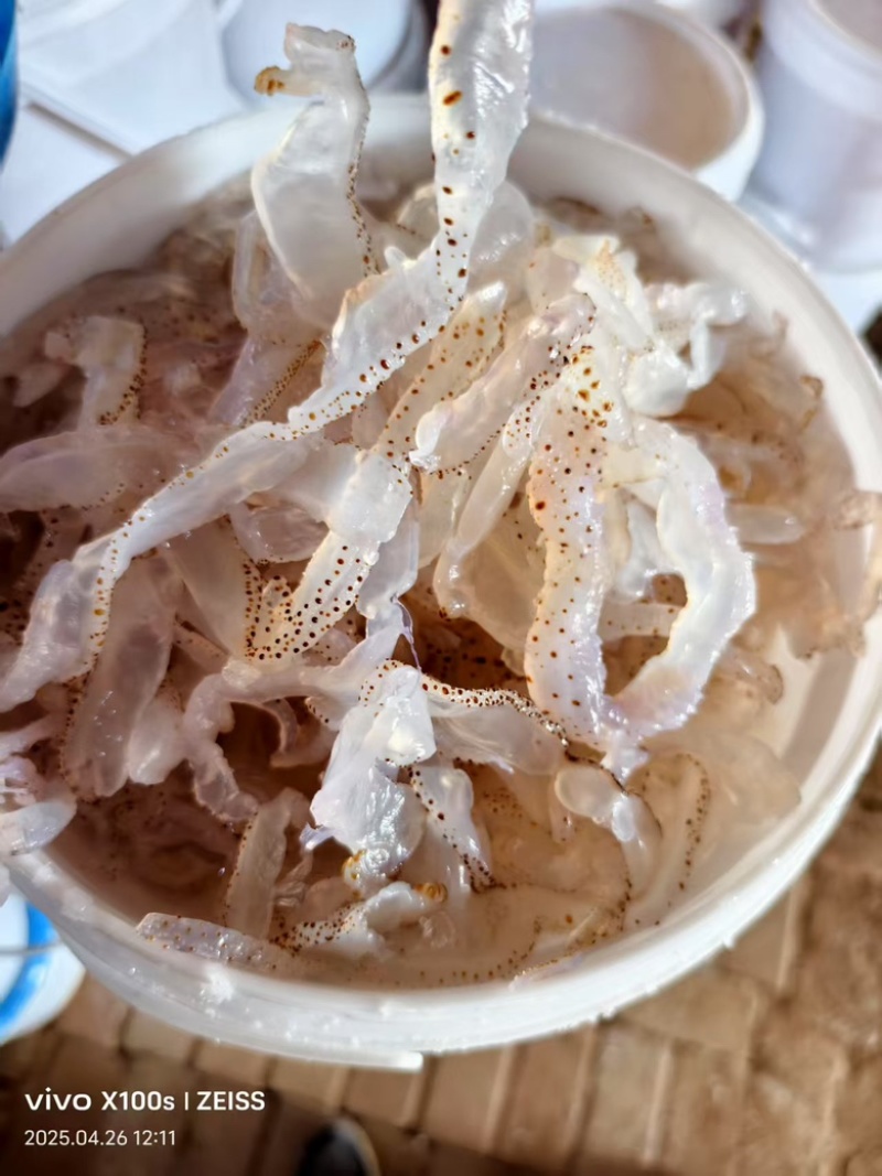 海蜇丝，货量充足，规格齐全，品质优良，欢迎咨询