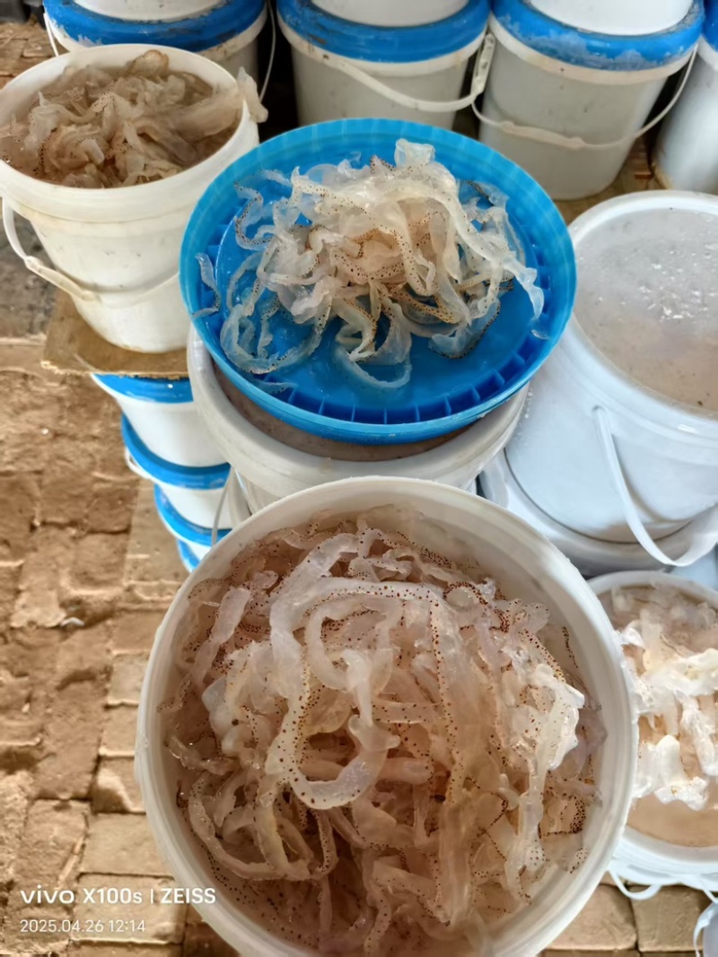 海蜇丝，货量充足，规格齐全，品质优良，欢迎咨询