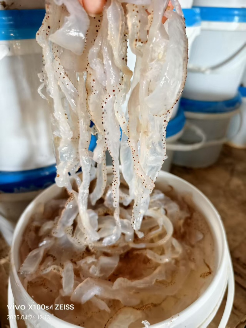 海蜇丝，货量充足，规格齐全，品质优良，欢迎咨询