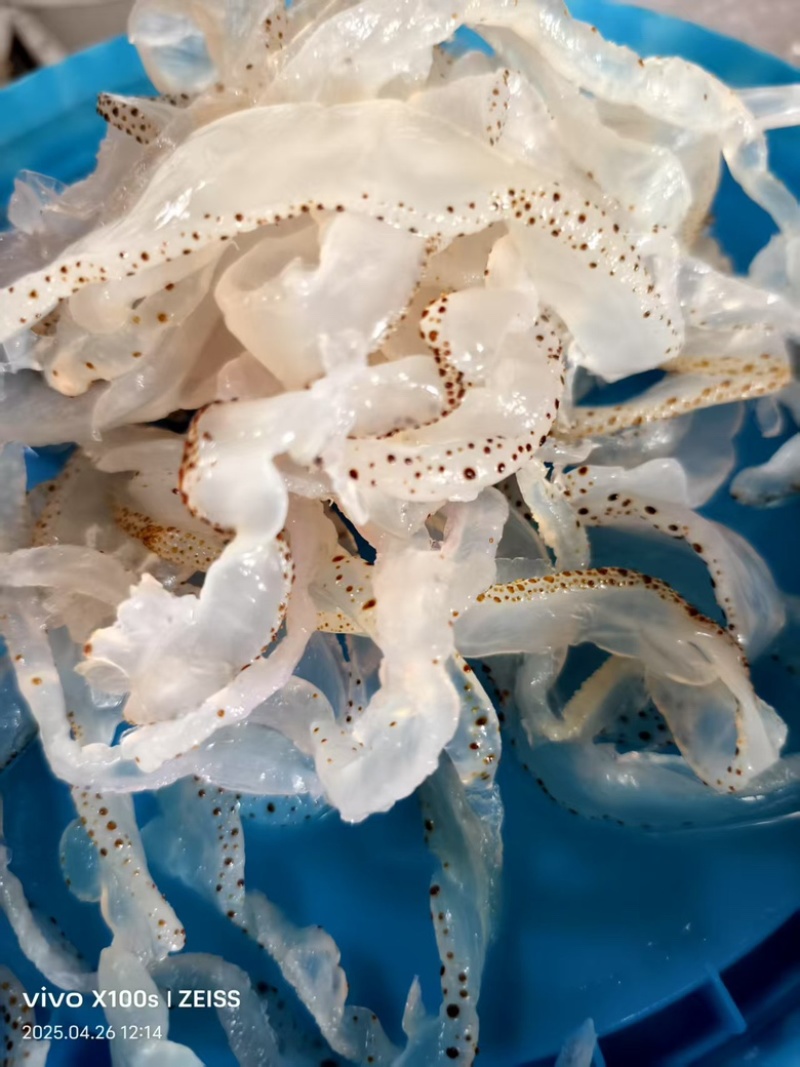 海蜇丝，货量充足，规格齐全，品质优良，欢迎咨询