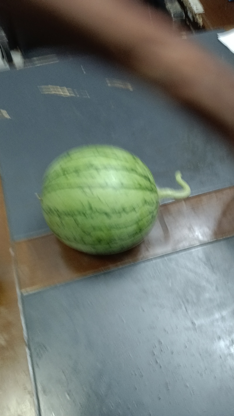 湖北江夏基地嘉秀西瓜大量有货！欢迎订单