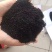 生物有机肥大蒜种植专用肥颗粒肥生物肥