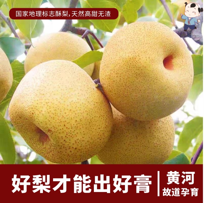 砀山非遗物质文化遗产酥梨膏纯手工***儿童孕妇可食用