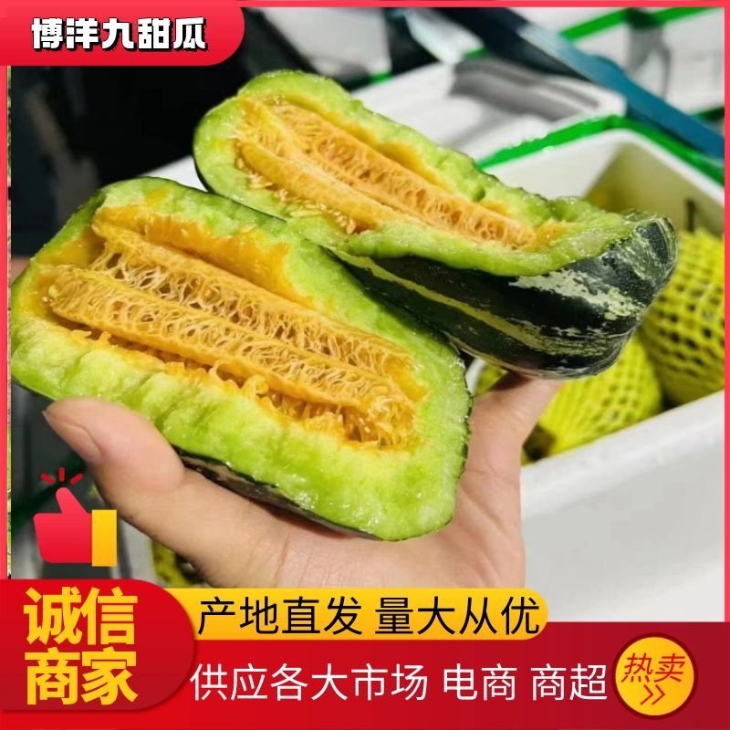 （实力代收）️博洋9甜瓜，博洋九甜瓜基，对接商超全国接单