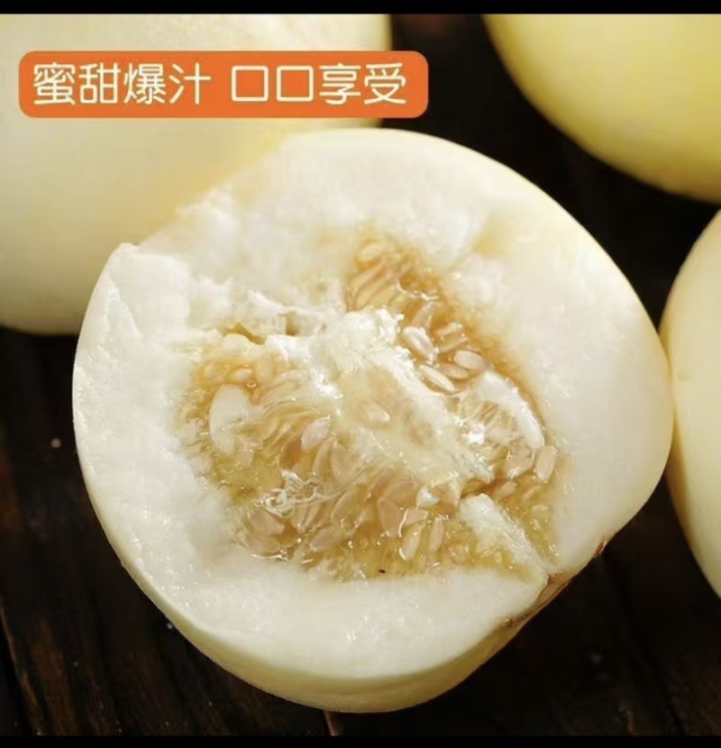 襄阳甜瓜现摘现发甜度高色泽好欢迎全国客商来电
