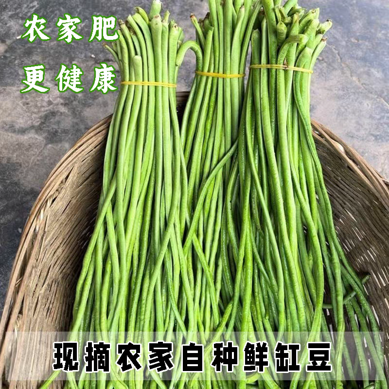 青条豆角缸豆白豆角长豆角大量有货欢迎订购