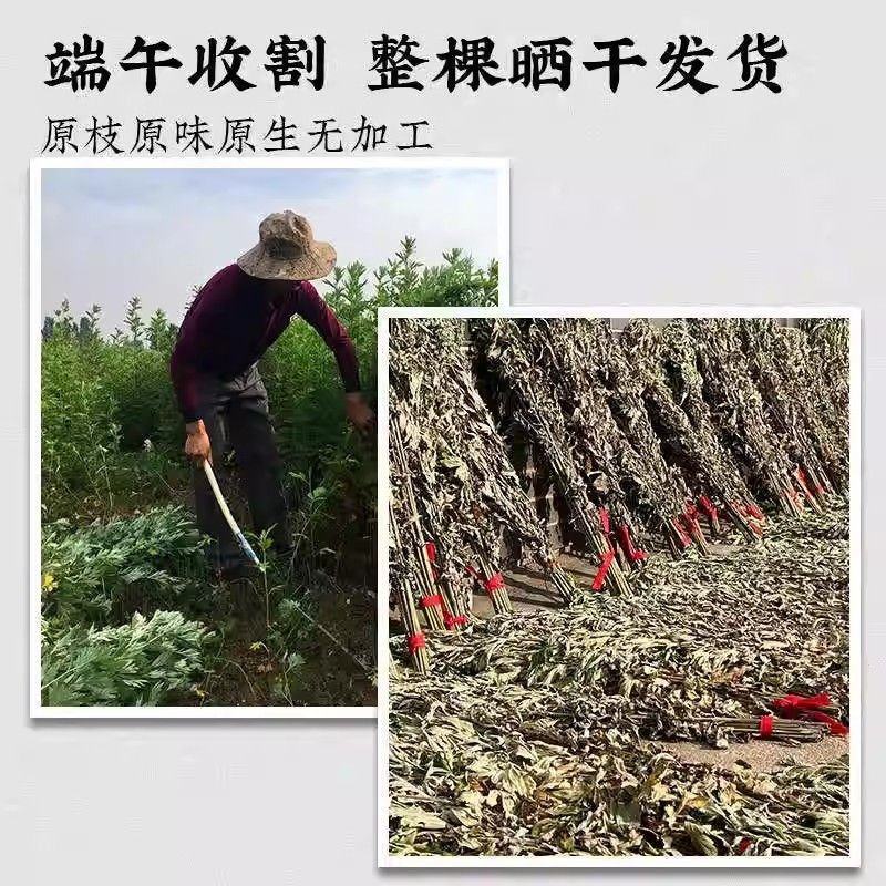艾草中药材，有做加工的老板联系