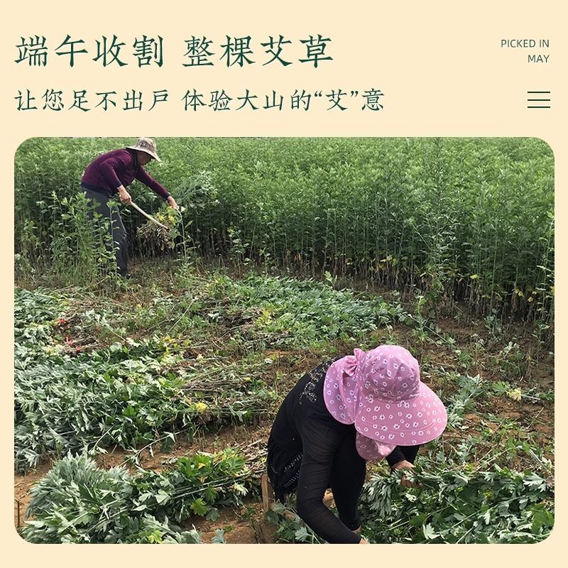 艾草中药材，有做加工的老板联系