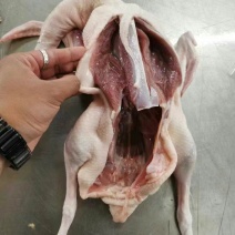 麻鸭