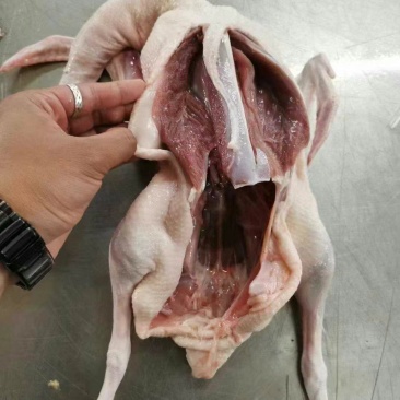 麻鸭