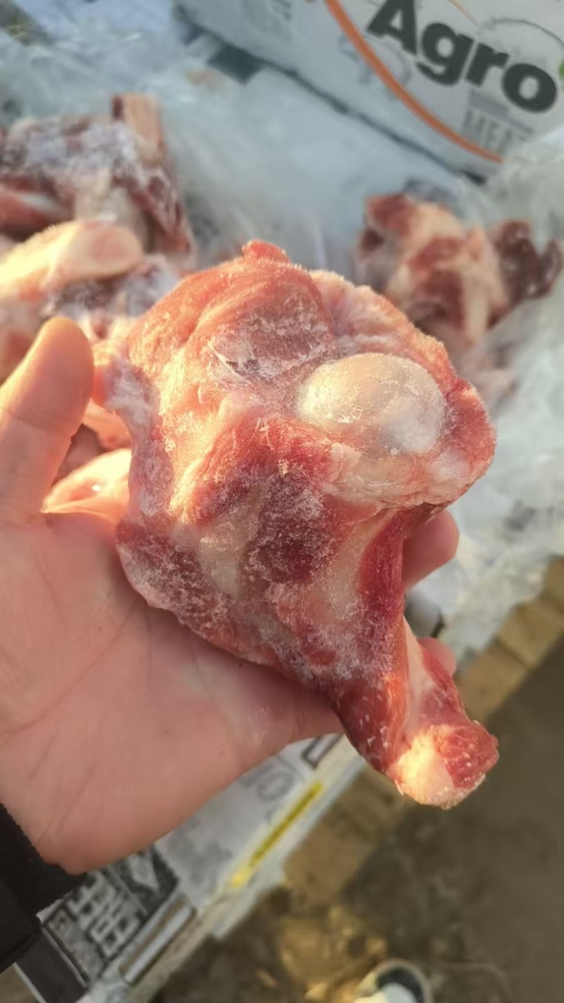 0617前腿骨，猪棒骨，大头棒骨，筒子骨