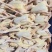 商品乳鸽厂家直发欢迎供应链批发商咨询品质保障对接全国