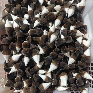 人无我有，人有我优，人优我特