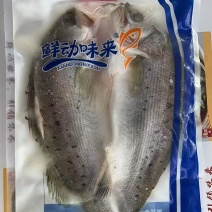 鲈鱼