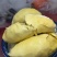 榴莲肉，产地直发，一手货源，诚信经营，品质保证，欢迎合作