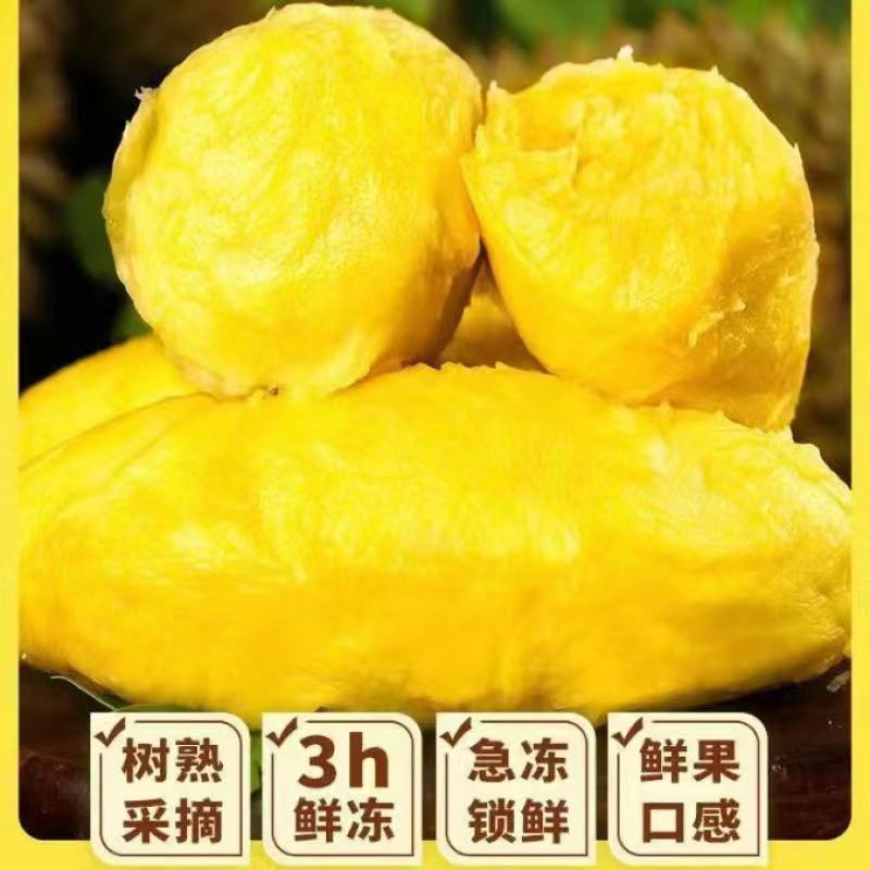 榴莲肉，产地直发，一手货源，诚信经营，品质保证，欢迎合作