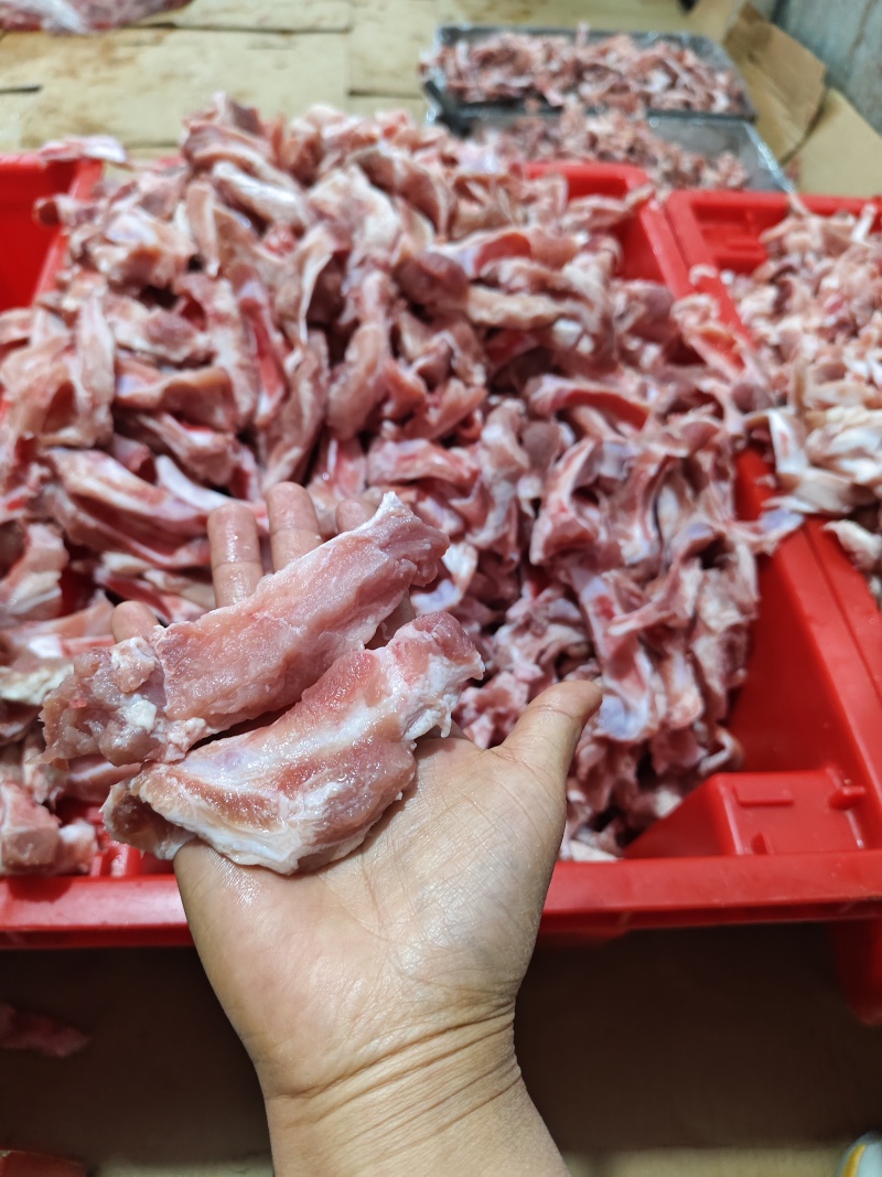 多肉眉毛骨