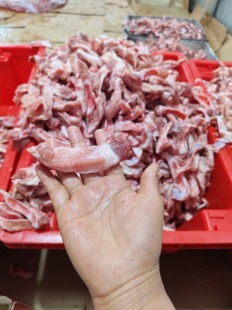 多肉眉毛骨