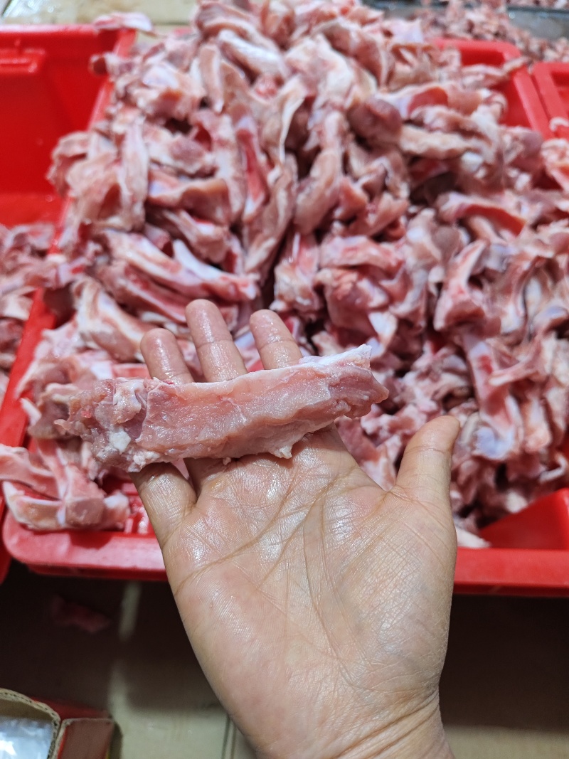 多肉眉毛骨