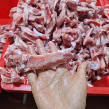 多肉眉毛骨
