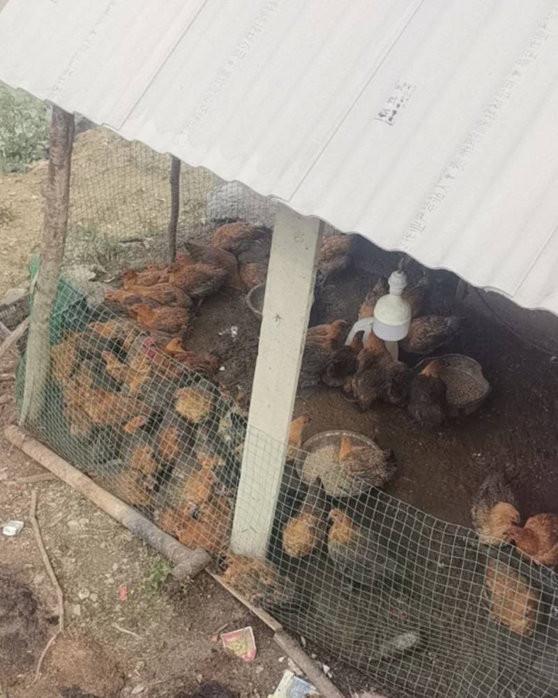 贵州毕节