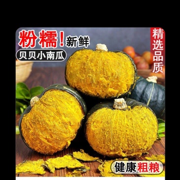 四川露天贝贝