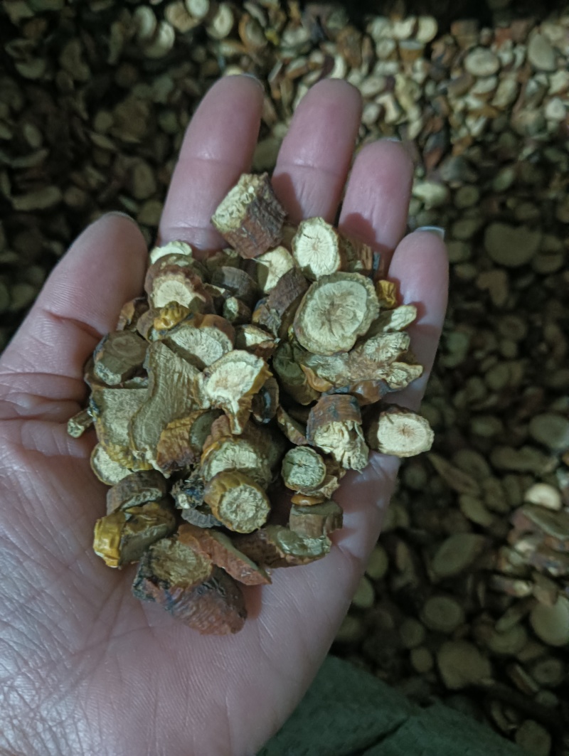 寄生多个寄生现货供应实物实拍批发各种中药材