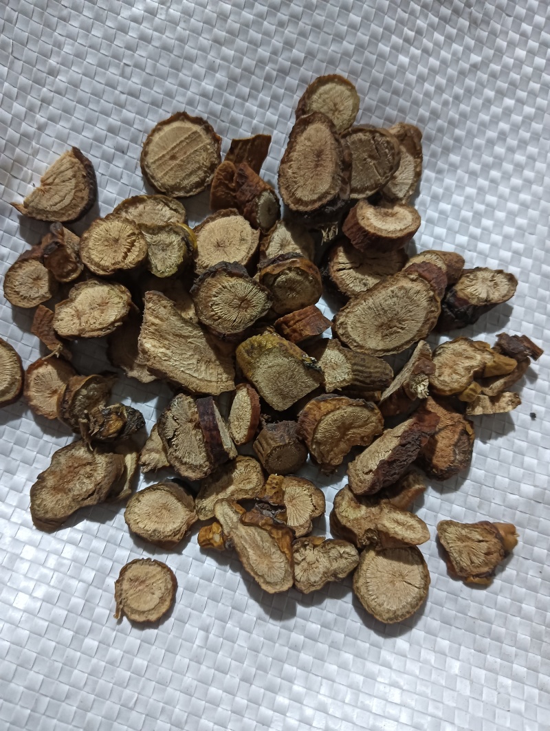 寄生多个寄生现货供应实物实拍批发各种中药材